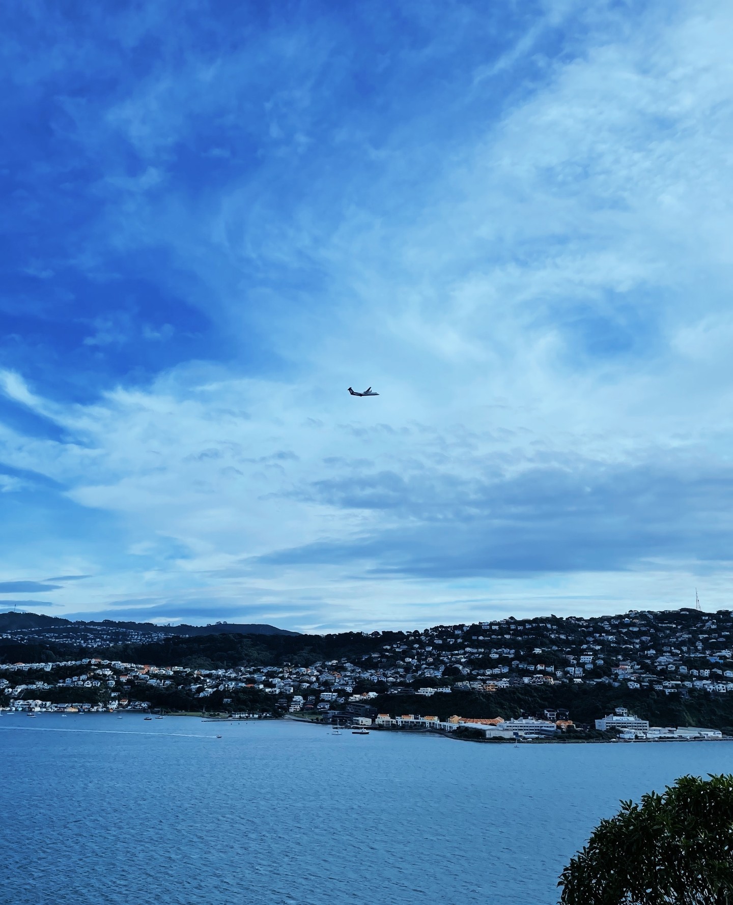 It started with an old saying.⁠
You can't beat Wellington on a good day.⁠
It truly is.⁠
I am so grateful to be living in this beautiful coolest little capital in the world. Big shoutout to my husband.⁠
⁠
I love watching the planes taking on and off. Yeah, I live near the airport. In fact, the airport is just around the corner in this small city 🤔 I love my southern suburbs.⁠
⁠
#thepaperandink #wellingtonlive #WellingtonNZ #OurWellington #TōTātouPōneke #wellymyway
